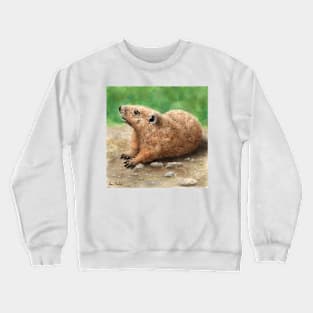 Painting of a Groundhog Looking Up, in a Green Field Crewneck Sweatshirt